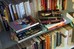 Regał z książkami.