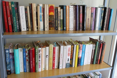 Regał z książkami.