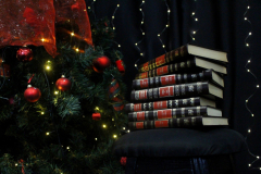 20251206-biblioteka-scenka-3