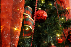 20251206-biblioteka-scenka-4