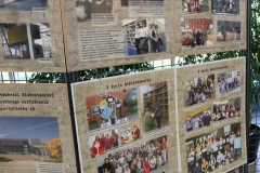 Na ekspozytorze w formie metalowej kratkownicy, powieszone są antyramy. W antyramach są plansze ze zdjęciami i tekstem. Za ekspozytorem widać duże kwiaty doniczkowe.