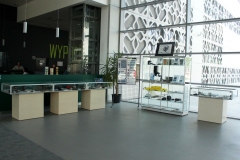 Hol biblioteki. Z lewej strony przed zieloną ladą 3 gabloty wystawowe. Z prawej siatka ekspozycyjna z planszą, wysoka szklana gablota i kolejna niska.