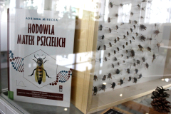 Książka Hodowla matek pszczelich obok gabloty z okazami pszczół