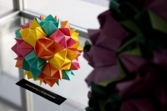 Wystawa „Origami – sztuka, wiedza, nauka”, prezentowana w Bibliotece Politechniki Białostockiej. Ekspozycję tworzą głównie matematyczne formy origami, bryły platońskie i archimedesowe, różnorodne wielościany, mozaikowe tesselacje, składane z płaszczyzn o kształtach koła, kwadratu, trójkąta.